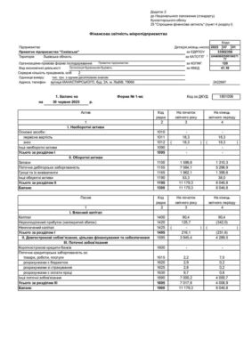 Фінансова звітність мікропідприємства півріччя 2025
