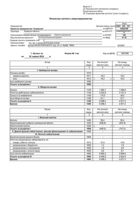 thumbnail of S0111007 1-мс, 2-мс. Фінансова звітність мікропідприємства півріччя 2024